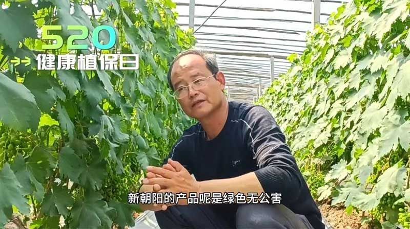 520健康植保日——擁抱綠色農業，我們在行動