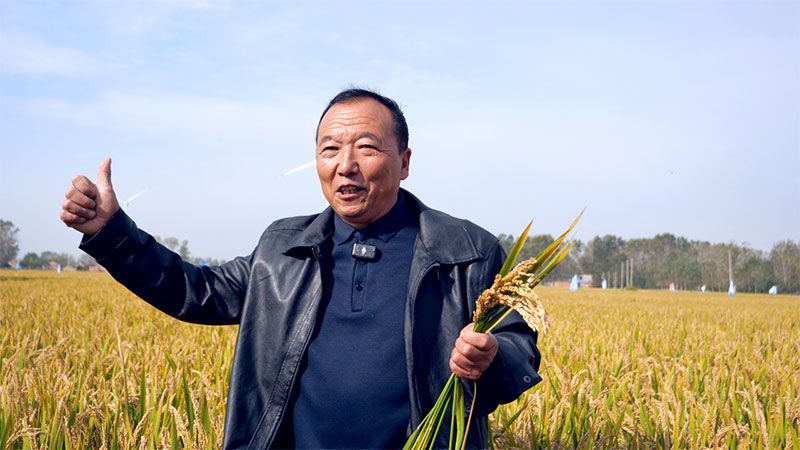 綠色提單產(chǎn)就用冠菌素 開(kāi)辟糧食抗逆增產(chǎn)新路徑